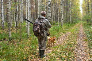 Ein Jäger läuft mit seinem Hund durch den Wald auf einem Weg. Der Jäger ist von hinten zu sehen. Über der Schulter hängt ein Gewehr.