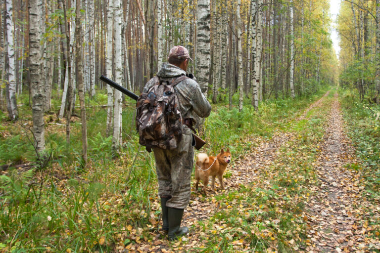 Ein Jäger läuft mit seinem Hund durch den Wald auf einem Weg. Der Jäger ist von hinten zu sehen. Über der Schulter hängt ein Gewehr.